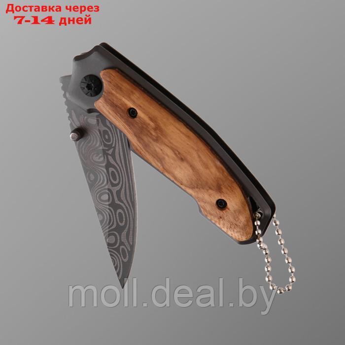 Нож складной с деревянной ручкой, клинок 6,5см - фото 3 - id-p220733401