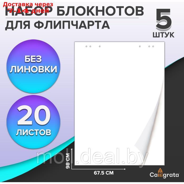 Набор 5шт блокнотов д/флипчарта 20л 67,5*98см белый, 92%, 80г/м2, Calligrata