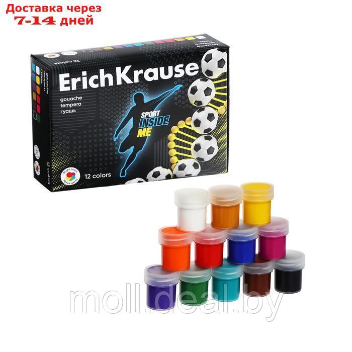 Гуашь 12 цветов по 20 мл ErichKrause "Sport DNA", в коробке - фото 1 - id-p220738493