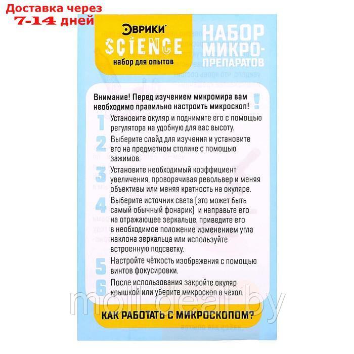 ЭВРИКИ Набор для опытов "Набор микропрепаратов", растения - фото 5 - id-p220734036