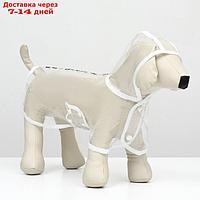 Дождевик для собак, размер XS (ДС 18, ОГ 25-30, ОШ 25 см), белый