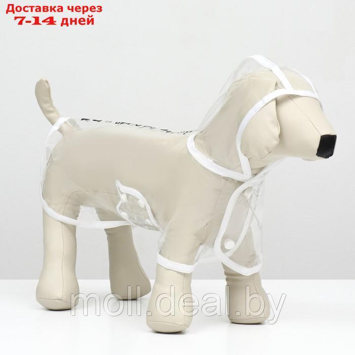 Дождевик для собак, размер XS (ДС 18, ОГ 25-30, ОШ 25 см), белый - фото 1 - id-p220741457