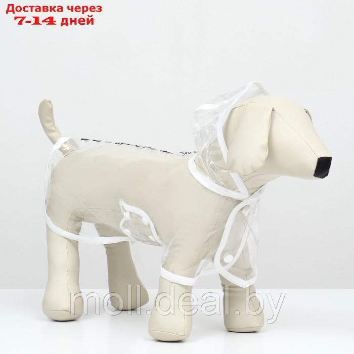 Дождевик для собак, размер XS (ДС 18, ОГ 25-30, ОШ 25 см), белый - фото 3 - id-p220741457