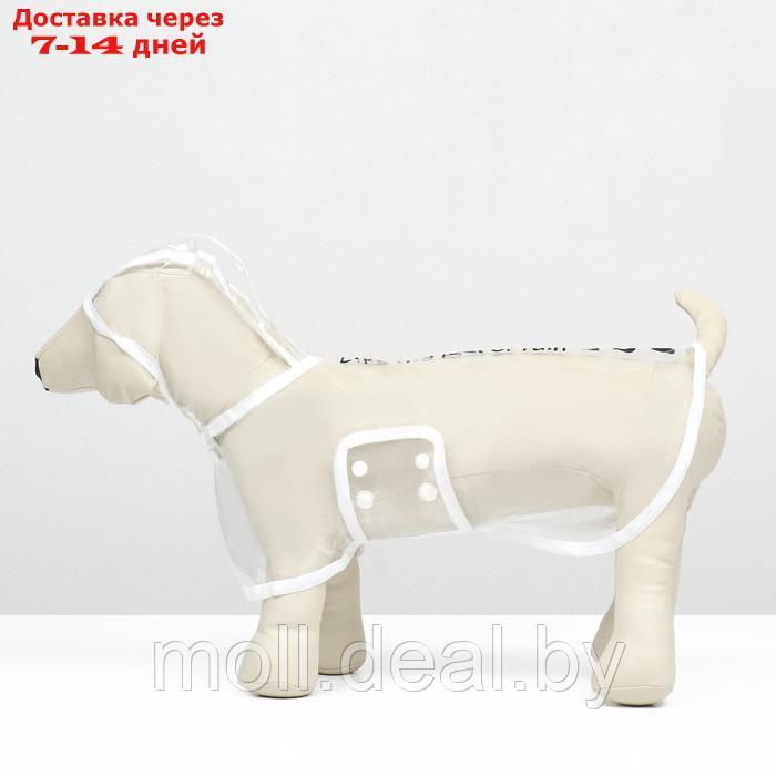 Дождевик для собак, размер XS (ДС 18, ОГ 25-30, ОШ 25 см), белый - фото 4 - id-p220741457
