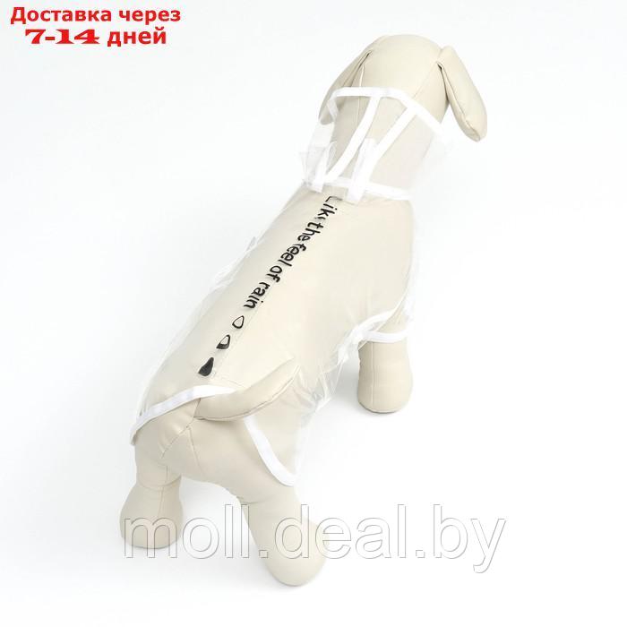 Дождевик для собак, размер XS (ДС 18, ОГ 25-30, ОШ 25 см), белый - фото 6 - id-p220741457