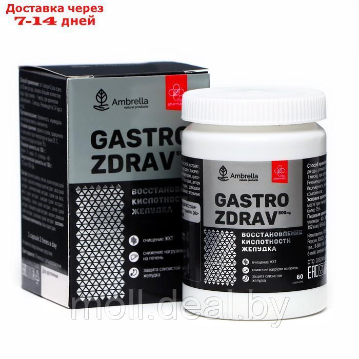 Gastro Zdrav "Восстановление кислотности желудка", 60 капсул по 0,5 г - фото 1 - id-p220738550