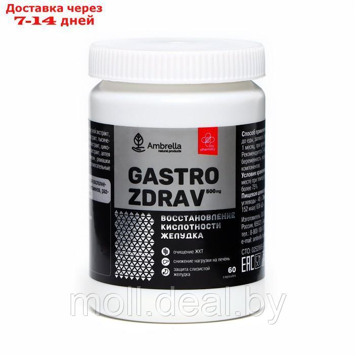 Gastro Zdrav "Восстановление кислотности желудка", 60 капсул по 0,5 г - фото 2 - id-p220738550