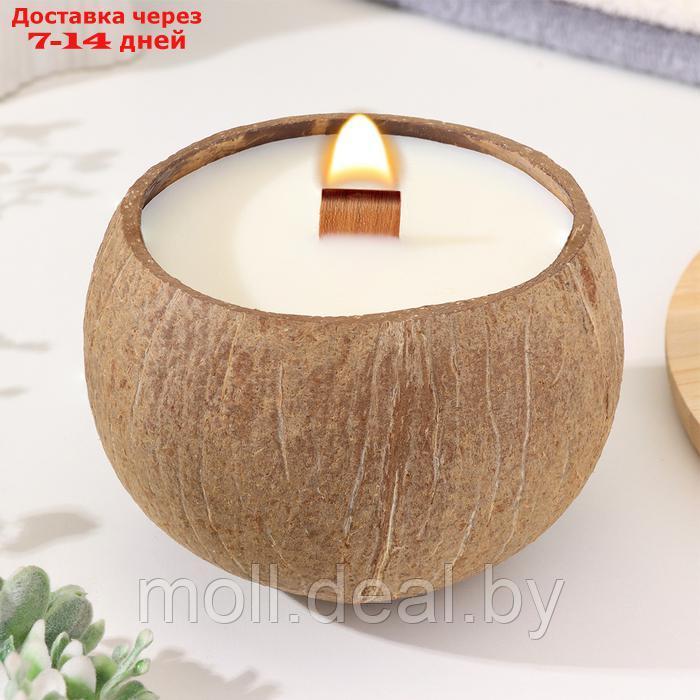 Свеча в кокосе ароматическая, эрл грей, в коробке - фото 2 - id-p220742476