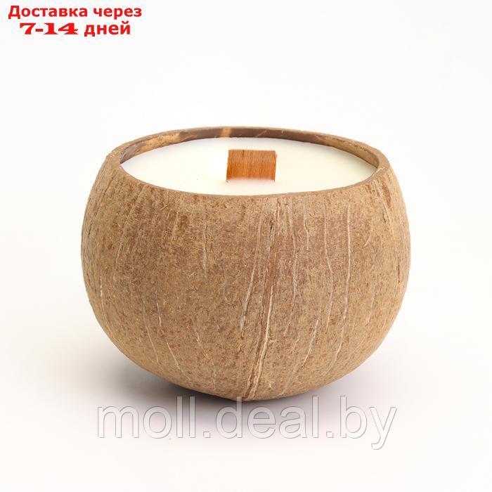 Свеча в кокосе ароматическая, эрл грей, в коробке - фото 4 - id-p220742476