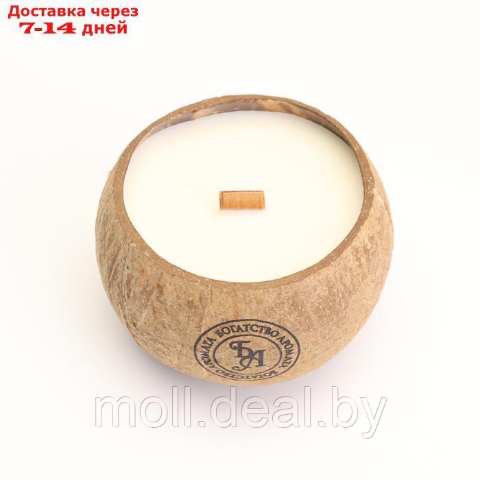 Свеча в кокосе ароматическая, эрл грей, в коробке - фото 5 - id-p220742476