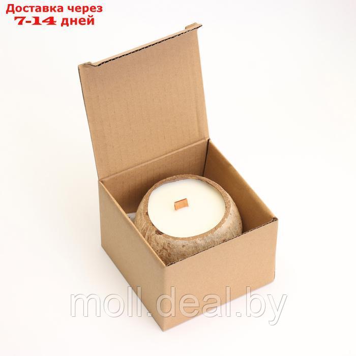 Свеча в кокосе ароматическая, эрл грей, в коробке - фото 6 - id-p220742476