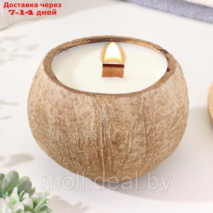 Свеча в кокосе ароматическая, белый чай, в коробке - фото 2 - id-p220742487