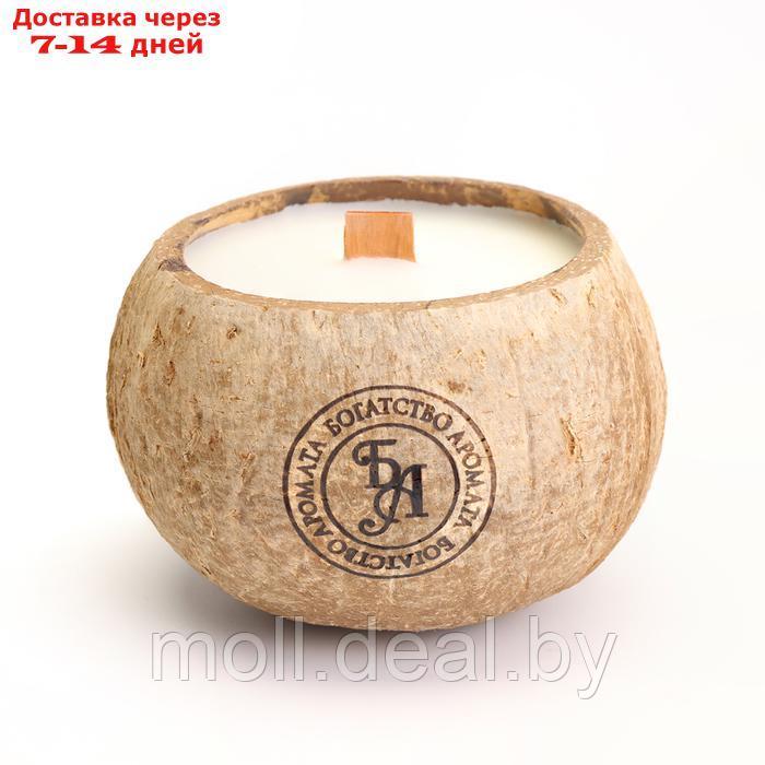Свеча в кокосе ароматическая, белый чай, в коробке - фото 3 - id-p220742487