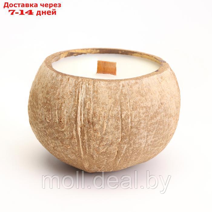 Свеча в кокосе ароматическая, белый чай, в коробке - фото 4 - id-p220742487