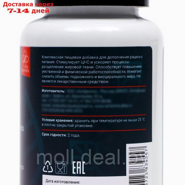 Жиросжигатель Thermogen fatburner, 120 капсул по 0,5 г - фото 3 - id-p220738566