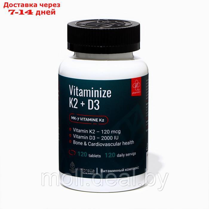 Витаминный комплекс для повышения иммунитета Vitaminize K2+D3, 120 таблеток по 0,7 г - фото 1 - id-p220738568