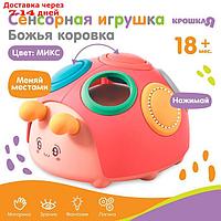 Развивающая, сенсорная игрушка "Божья коровка", цвет МИКС