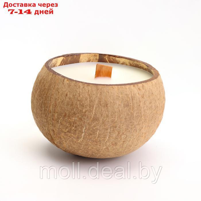 Свеча в кокосе ароматическая, сладкий апельсин и лайм, в коробке - фото 4 - id-p220742512