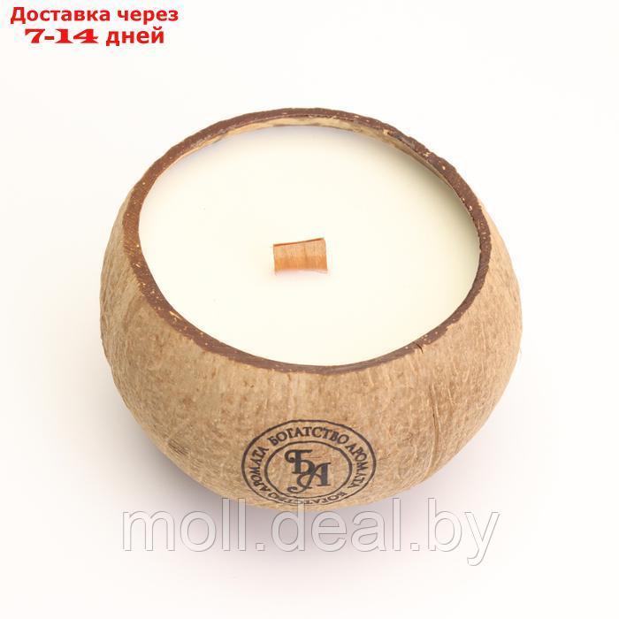 Свеча в кокосе ароматическая, сладкий апельсин и лайм, в коробке - фото 5 - id-p220742512
