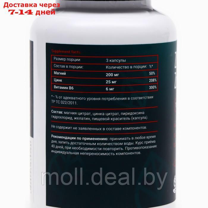 Комплекс витаминов для повышения уровня тестостерона Zn + Mg +B6, 120 капсул - фото 1 - id-p220738610