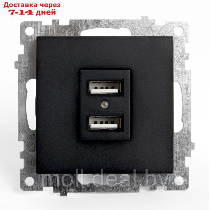 Розетка 2-местная USB (механизм), 250В, 2,1А, серия Катрин, GLS10-7115-05, черный - фото 1 - id-p220739649