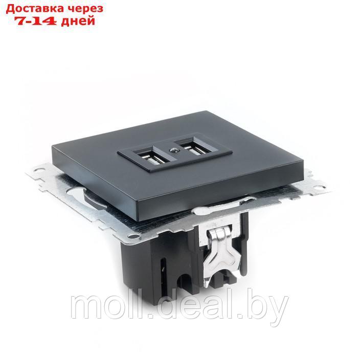 Розетка 2-местная USB (механизм), 250В, 2,1А, серия Катрин, GLS10-7115-05, черный - фото 4 - id-p220739649