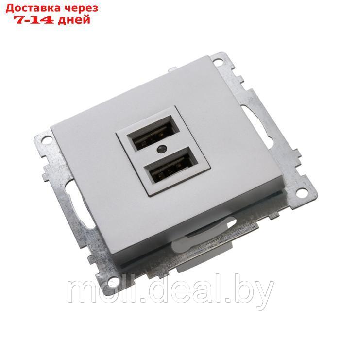 Статический преобразователь: Зарядное устройство: USB-розетка (механизм), GLS10-7115-03, сер 1022737 - фото 4 - id-p220739666