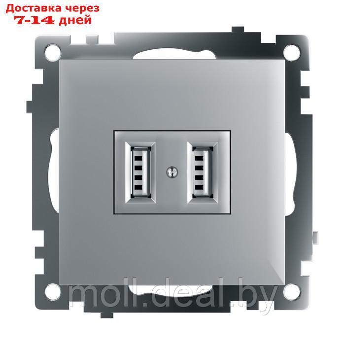 Статический преобразователь: Зарядное устройство: USB-розетка (механизм), GLS10-7115-03, сер 1022737 - фото 6 - id-p220739666