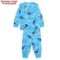 Пижама для мальчиков, цвет синий/акулы, рост 116 см