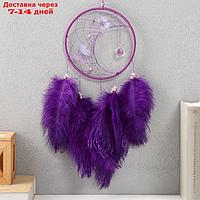 Ловец снов "Бабочки и страусиные перья" фиолетовый d=15 см 50х15 см