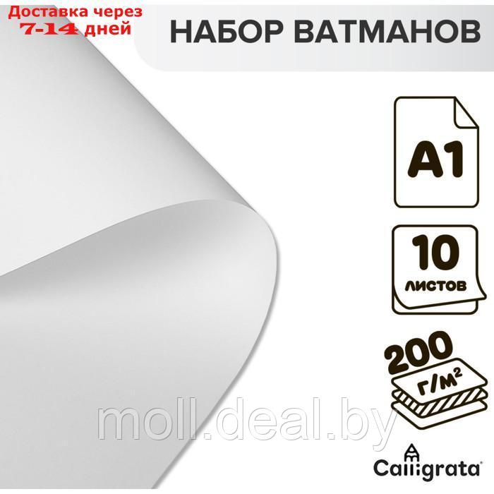 Набор ватманов чертёжных А1, 200 г/м², 10 листов - фото 1 - id-p220737196