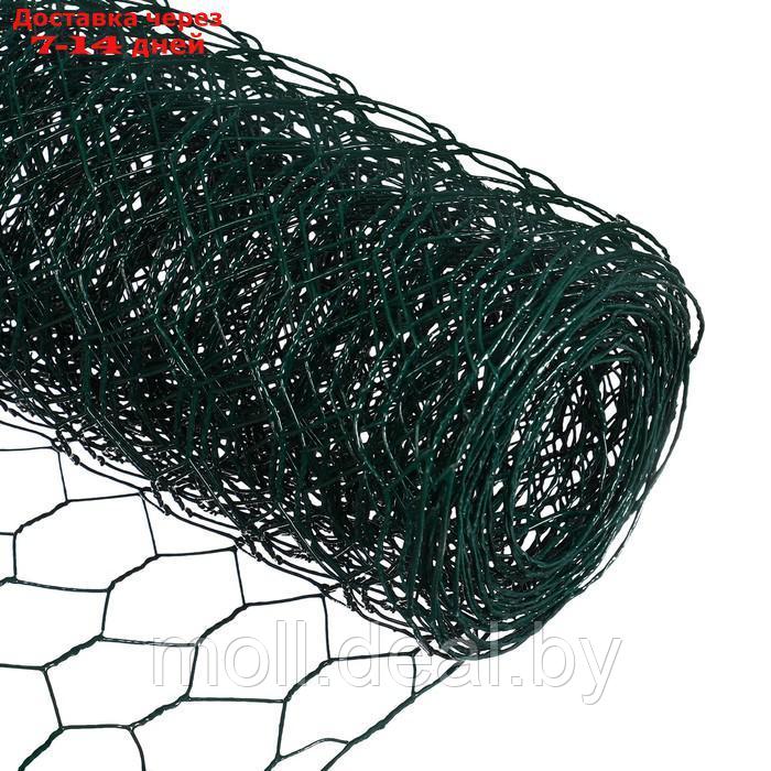 Сетка сварная с ПВХ покрытием, 5 × 0,5 м, ячейка 25 × 25 мм, d = 0,9 мм, металл, Greengo - фото 5 - id-p220740146