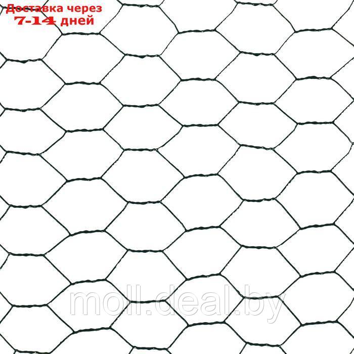 Сетка сварная с ПВХ покрытием, 5 × 0,5 м, ячейка 25 × 25 мм, d = 0,9 мм, металл, Greengo - фото 6 - id-p220740146