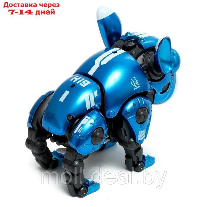 Робот-собака "Макс", световые, звуковые эффекты, металлический, цвет синий - фото 4 - id-p220743137