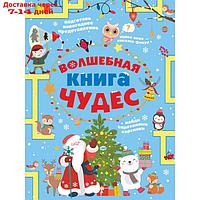 Волшебная книга чудес. Прудник Анастасия Александровна, Аниашвили Ксения и другие