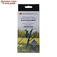 Карандаши цветные набор 12 цветов, ЗХК "Мастер-Класс", профессиональные