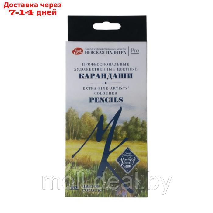 Карандаши цветные набор 12 цветов, ЗХК "Мастер-Класс", профессиональные - фото 1 - id-p220739233