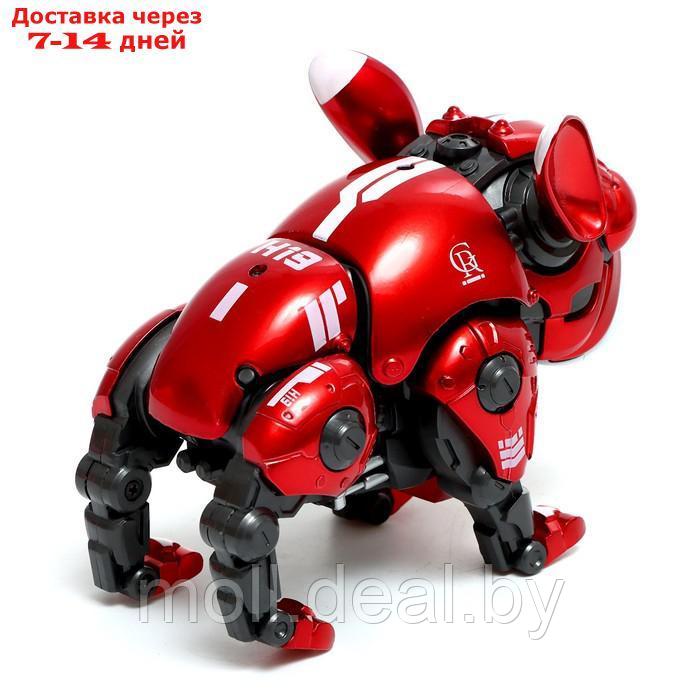 Робот-собака "Макс", световые, звуковые эффекты, металлический, цвет красный - фото 4 - id-p220743158