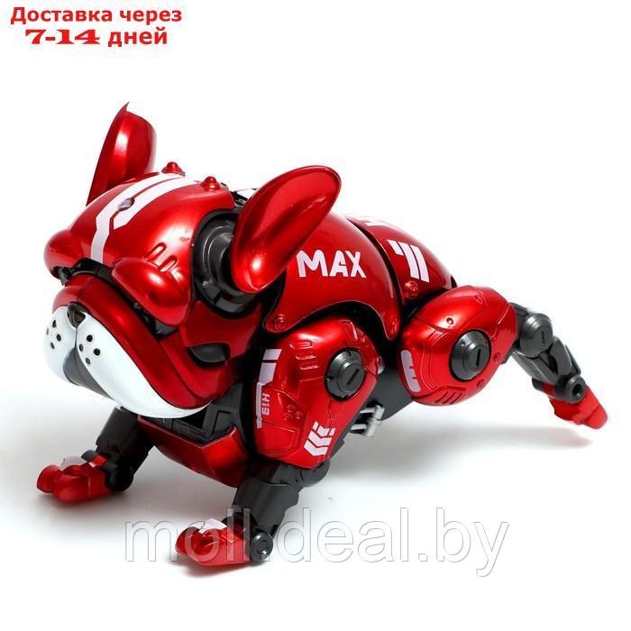 Робот-собака "Макс", световые, звуковые эффекты, металлический, цвет красный - фото 5 - id-p220743158