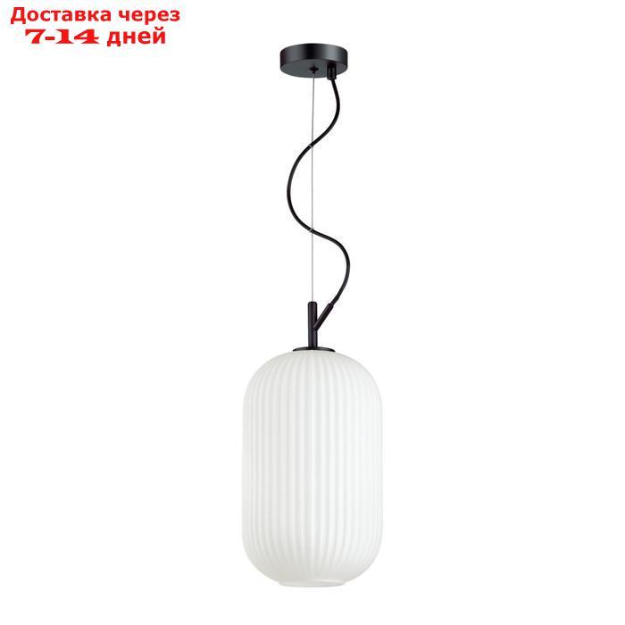 Светильник ROOFI, 1x60Вт E27, цвет чёрный, IP20 - фото 1 - id-p220753424