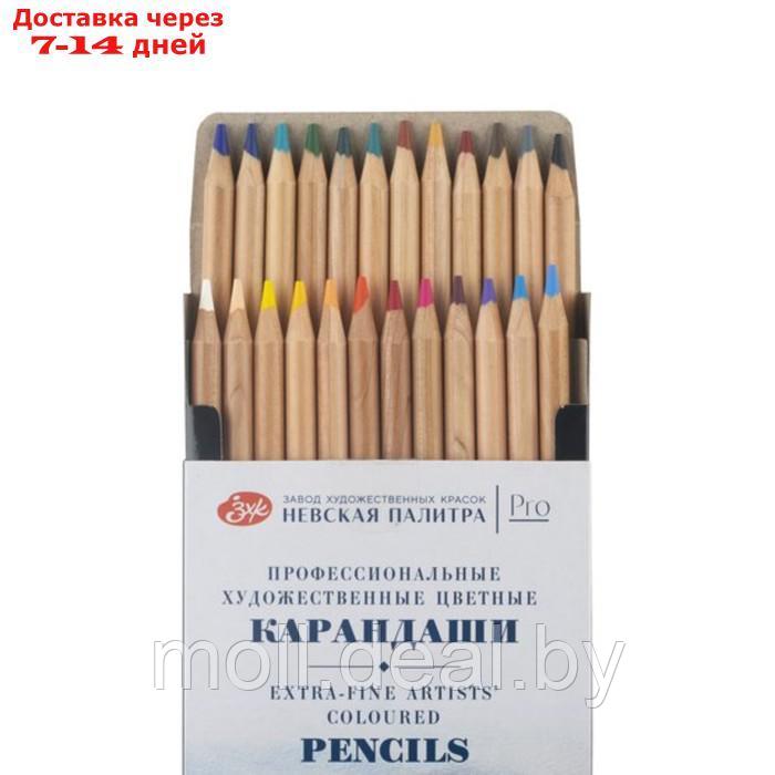 Карандаши цветные набор 24 цвета, ЗХК "Мастер-Класс", профессиональные - фото 6 - id-p220739303