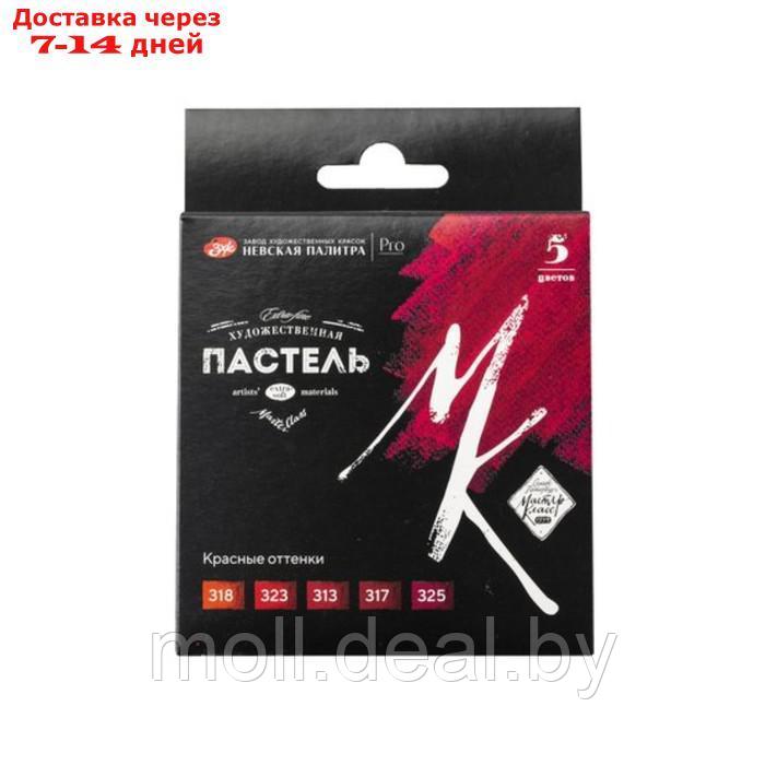 Пастель сухая набор 5 цветов, Soft, ЗХК "Сонет", D-10 мм /L-65 мм, круглое сечение, красные оттенки, - фото 1 - id-p220742397