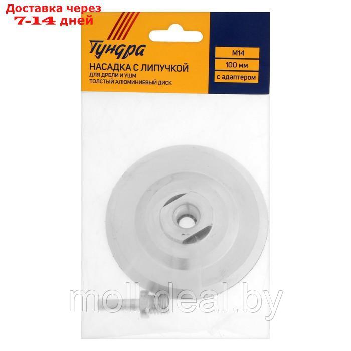 Насадка с липучкой для дрели и УШМ ТУНДРА, толстый алюминиевый диск, с адаптером, 100 мм - фото 8 - id-p220741326