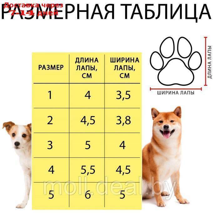 Ботинки для собак "Комфорт" дышашие, размер 2 (4, 5 х 3, 8 см), черные - фото 8 - id-p220740382