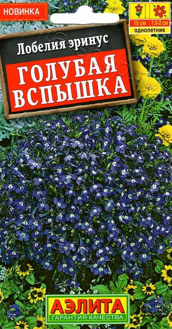 Лобелия Голубая вспышка 0,05г Аэлита