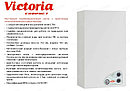 Газовый настенный котел Fondital Victoria Compact CTN 24 AF, фото 6