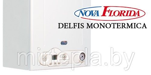 Газовый настенный котел Nova Florida Delfis Monoternica CTFS 24 - фото 2 - id-p220767180