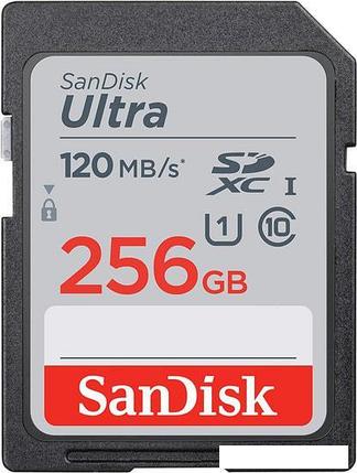 Карта памяти SanDisk Ultra SDXC SDSDUN4-256G-GN6IN 256GB, фото 2