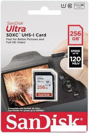 Карта памяти SanDisk Ultra SDXC SDSDUN4-256G-GN6IN 256GB, фото 2