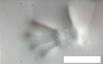 Ортопедическая подушка Familytex ППУ С памятью формы ППУМ Алоэ вера (37x58x8.5), фото 3
